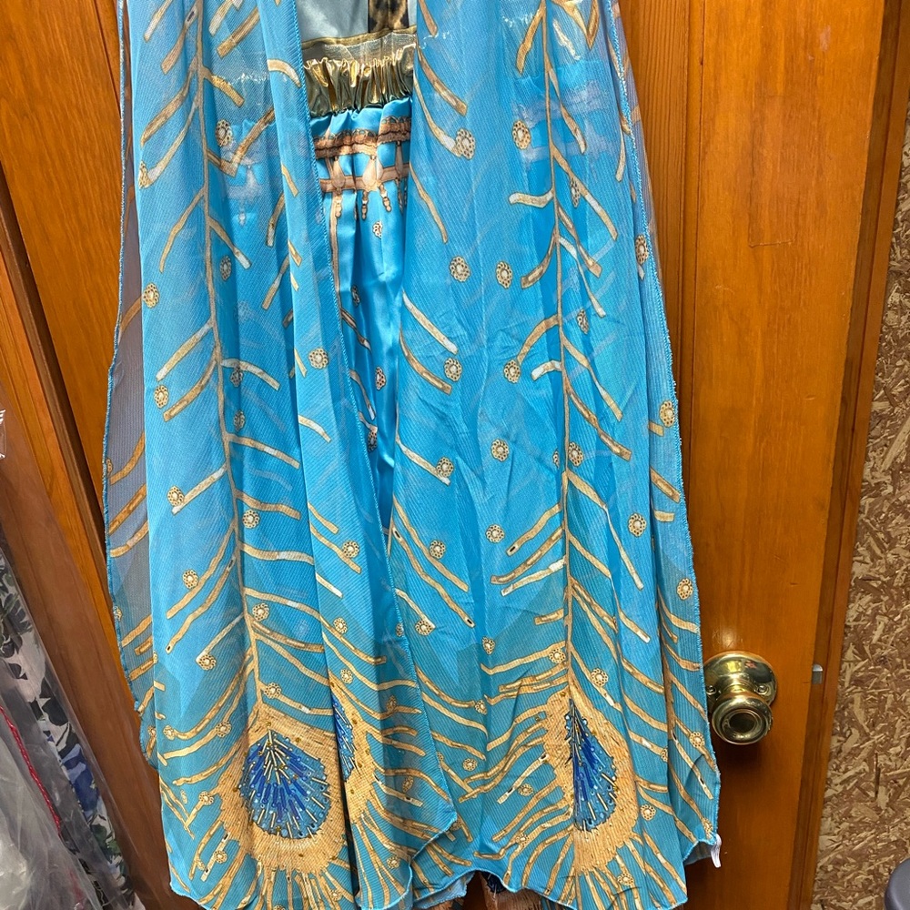 Kid’s Halloween Costume Jasmine
